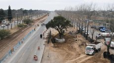 En Argentine, sur le tracé d'une route, l'arbre de la discorde