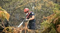 Landes : l'incendie est fixé, des évacués rentrent à Luglon