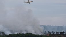 Bretagne: 100 hectares brûlés dans la forêt de Brocéliande près de Rennes