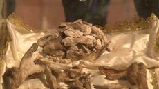 A Assise, des milliers de pèlerins se pressent pour voir les reliques de Saint François