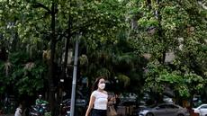 Hanoï taille ses arbres emblématiques, assailli par leur parfum