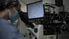 PMA, IA et autres questions sensibles: lancement des Etats généraux de la bioéthique