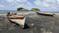 Aux Antilles, la pêche mise à mal par la pollution au chlordécone