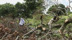 Dans un village du Congo, la présidentielle creuse la fracture entre jeunes et vieux