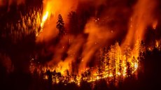 Des milliers de morts après les incendies géants au Canada en 2023, jusqu'en Europe