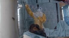 Ebola: le vaccin le plus prometteur selon l'OMS va être développé par un groupe singapourien