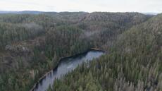 En Norvège, le plus grand gisement de terres rares d'Europe suspendu au sort de coléoptères