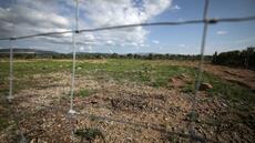 Les ossements retrouvés à Rivesaltes cohérents avec les corps de Harkis disparus