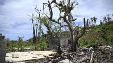 Les députés planchent sur le projet du gouvernement pour refonder Mayotte