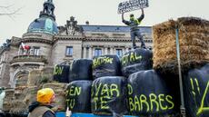 Dermatose: à Limoges, des agriculteurs érigent un mur de paille devant la préfecture