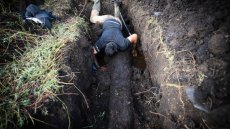 Dans le marais de Brière, des chênes enfouis témoins de l'histoire du climat