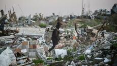 Israël confirme interdire d'accès à Gaza 37 ONG étrangères