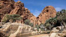 Le touriste français porté disparu dans le nord-est du Tchad, retrouvé mort après une chute, selon un ministre