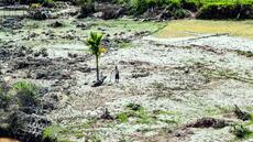 En Indonésie, les survivants tentent de se reconstruire sous la menace de nouvelles pluies