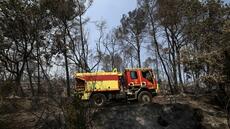 Incendies: feu fixé en Gironde, contenu dans le Var