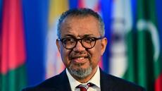 Vieux remèdes et IA: l'OMS recherche des preuves d'efficacité de la médecine traditionnelle