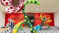 Une célébration : à Amsterdam, une exposition dédiée à Kusama, décédée en août