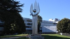 Au cœur du vivier de talents français en IA que s'arrachent les entreprises