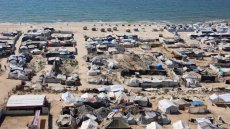 A Gaza, un petit carré de terre pour survivre un jour de plus