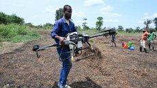En Côte d'Ivoire, les nouvelles technologies au secours d'une agriculture boudée par les jeunes