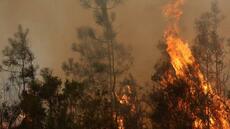 Les gros incendies de forêt qui ont frappé la France