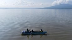 Au Mexique, indigènes et scientifiques au chevet d'un fascinant amphibien