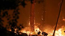 Incendie dans les Landes: reprise de feu dans la nuit, 1.580 hectares brûlés