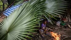 Les derniers chasseurs-cueilleurs de Thaïlande revendiquent leur droit aux terres