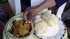 Nigeria: des scientifiques attendent le retour de graines d’égousi envoyées dans l’espace