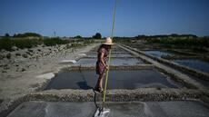 Climat: face aux submersions, l'île d'Oléron ravive ses marais salants