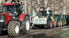 Mercosur: des milliers d'agriculteurs européens attendus à Strasbourg