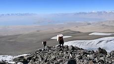 Pour les glaciologues, la joie de toucher le fond et ses mystères