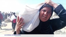 Gaza : le Hamas se dit prêt à de nouvelles discussions sérieuses pour une trêve