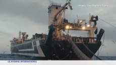 Les super-chalutiers : bras de fer avec les pêcheurs artisans
