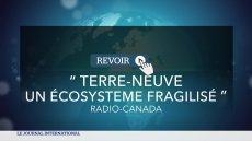 Terre-Neuve : écosystème fragilisé