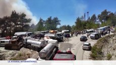 Syrie : plus de 10 000 hectares ravagés par les flammes