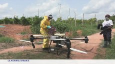 L'Agritech au secours de l'agriculture ivoirienne