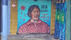 4 questions à Mariela Santana, avocate de la famille de Julia Chuñil, défenseure des terres indigènes, disparue au Chili