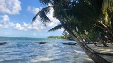 Madagascar: vers une aire protégée sur l'île Sainte-Marie?