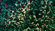 Les Comores exigent un certificat médical pour les voyageurs venus de Madagascar pour éviter la propagation du mpox