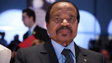 Crise postélectorale au Cameroun : 66 détenus condamnés à Yaoundé