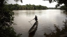 Sierra Leone: l'île de Tiwai classée par l'Unesco pour sa biodiversité exceptionnelle