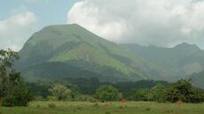 Guinée: une étude pointe les risques humains et environnementaux de l’exploitation du fer des monts Nimba