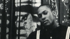 After the Fall : The Death and Resurrection of D'Angelo and the Hip-Hop Soul