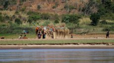 Madagascar: le peuple sakalava célèbre son nouveau roi, 128 ans après l’assassinat de son aïeul