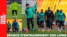 DIRECT : Suivez le dernier entraînement des Lions avant le départ à la CAN 2025