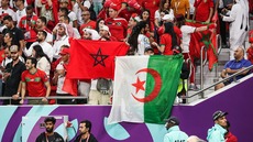 Mais pourquoi Algériens et Marocains ne se supportent pas ? Nous avons enfin les réponses !