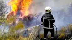 Siliana : l’incendie du Jebel Mergueb maîtrisé à plus de 98%