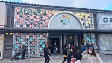 Expo 2025 Osaka : le zellige algérien récompensé au Japon