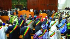 Assemblée nationale : le budget 2026 du Ministère de l’Intégration africaine adopté